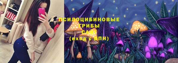молекула духа Армянск