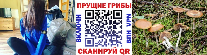 Галлюциногенные грибы Cubensis  hydra ссылка  Сухой Лог  купить  сайты 