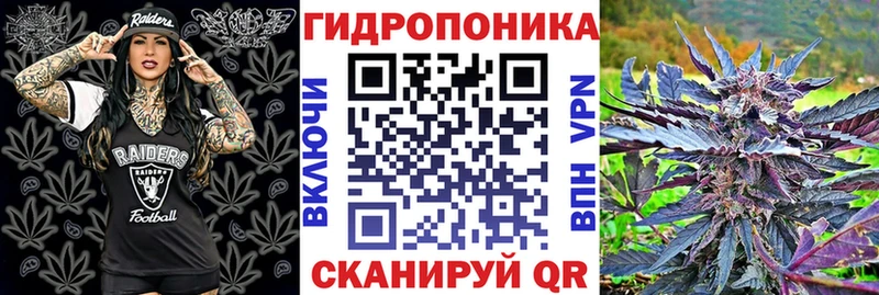 Бошки марихуана сатива Сухой Лог